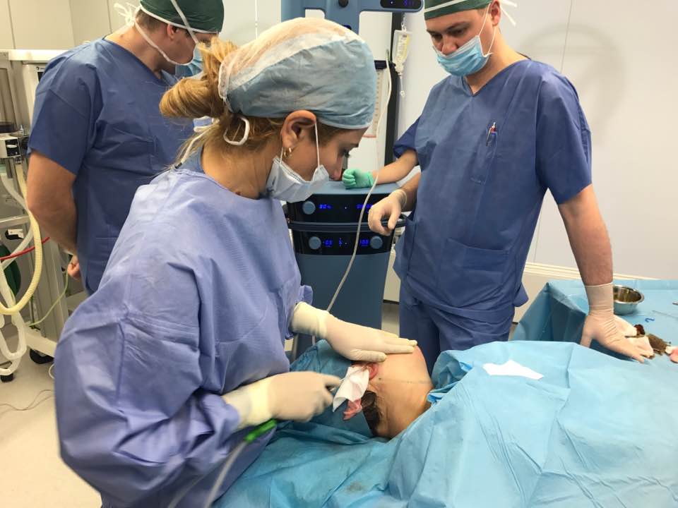 Doktor Ghabri prezentuje praktyczne atuty Triplex Cellulaze. Oszałamiające! 16425881_10212679071680490_7888006526606160813_n